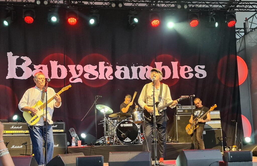 Babyshambles beim Poolbar-Festival in Feldkirch, 14. August 2026 – Konzertfoto 4